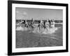 The Beachcomber Girls Who Work Night Clubs are Hanging Out at Beach in the Daytime-Allan Grant-Framed Photographic Print