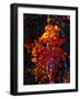 The Beacon-Mandy Budan-Framed Giclee Print