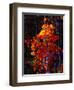 The Beacon-Mandy Budan-Framed Giclee Print