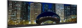 The Bean At Millennium Park Chicago-Steve Gadomski-Mounted Photographic Print