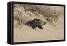 Canvas Black