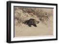 Black Frame