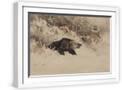 White Frame