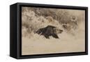 Canvas Black