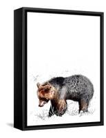 The Bear on White, 2020, (Pen and Ink)-Mike Davis-Framed Stretched Canvas