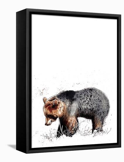 The Bear on White, 2020, (Pen and Ink)-Mike Davis-Framed Stretched Canvas