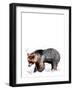 The Bear on White, 2020, (Pen and Ink)-Mike Davis-Framed Giclee Print