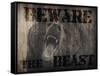 The Beast-Marcus Prime-Framed Stretched Canvas