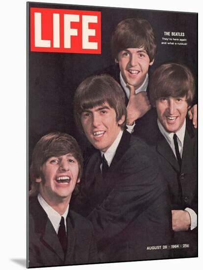 The Beatles, Ringo Starr, George Harrison, Paul Mccartney and John Lennon, August 28, 1964-John Dominis-Mounted Premium Photographic Print