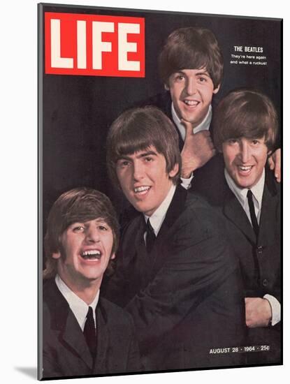 The Beatles, Ringo Starr, George Harrison, Paul Mccartney and John Lennon, August 28, 1964-John Dominis-Mounted Photographic Print