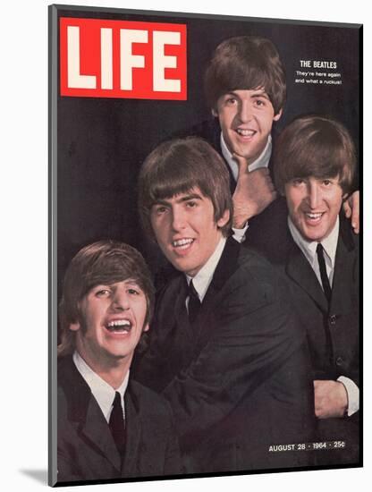 The Beatles, Ringo Starr, George Harrison, Paul Mccartney and John Lennon, August 28, 1964-John Dominis-Mounted Photographic Print