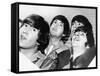 The Beatles-null-Framed Stretched Canvas