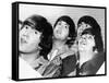 The Beatles-null-Framed Stretched Canvas