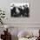 The Beatles-null-Photo displayed on a wall