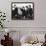 The Beatles-null-Framed Photo displayed on a wall