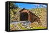 The Beautiful Bridgeport Covered Bridge over South Fork of Yuba River in Penn Valley, California-John Alves-Framed Stretched Canvas