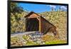 The Beautiful Bridgeport Covered Bridge over South Fork of Yuba River in Penn Valley, California-John Alves-Framed Photographic Print