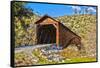 The Beautiful Bridgeport Covered Bridge over South Fork of Yuba River in Penn Valley, California-John Alves-Framed Stretched Canvas