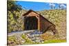 The Beautiful Bridgeport Covered Bridge over South Fork of Yuba River in Penn Valley, California-John Alves-Stretched Canvas