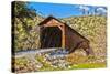 The Beautiful Bridgeport Covered Bridge over South Fork of Yuba River in Penn Valley, California-John Alves-Stretched Canvas