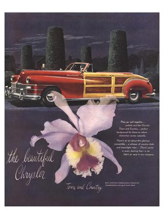 https://imgc.allpostersimages.com/img/posters/the-beautiful-chrysler-orchid_u-L-F89JQ80.jpg?artPerspective=n