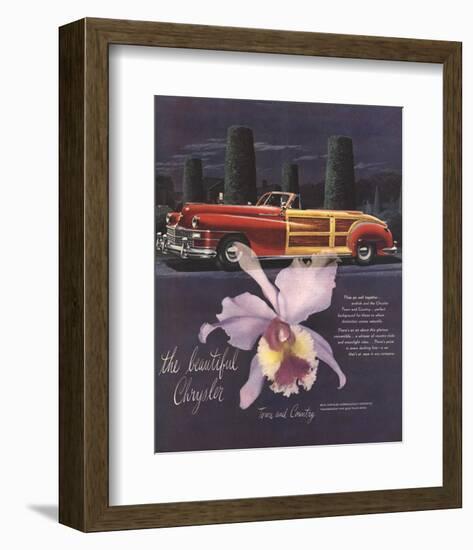 The Beautiful Chrysler-Orchid-null-Framed Art Print