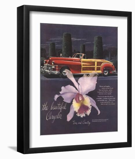 The Beautiful Chrysler-Orchid-null-Framed Art Print