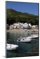 The Beautiful Cove of Sa Tuna, Near Begur, Costa Brava, Catalonia, Spain, Mediterranean, Europe-Robert Harding-Mounted Photographic Print