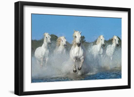 The Beautiful Five-Xavier Ortega-Framed Giclee Print