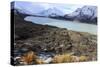 The Beautiful Mueller Glacier Lake at the Head of the Kea Point Track in Mt-Paul Dymond-Stretched Canvas