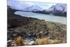 The Beautiful Mueller Glacier Lake at the Head of the Kea Point Track in Mt-Paul Dymond-Mounted Photographic Print