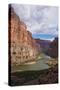 The Beautiful Scenery of the Colorado River in the Grand Canyon at Nankoweap Point, Arizona, USA-Michael Runkel-Stretched Canvas