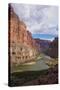 The Beautiful Scenery of the Colorado River in the Grand Canyon at Nankoweap Point, Arizona, USA-Michael Runkel-Stretched Canvas