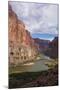 The Beautiful Scenery of the Colorado River in the Grand Canyon at Nankoweap Point, Arizona, USA-Michael Runkel-Mounted Photographic Print