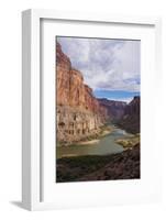 The Beautiful Scenery of the Colorado River in the Grand Canyon at Nankoweap Point, Arizona, USA-Michael Runkel-Framed Photographic Print