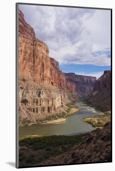 The Beautiful Scenery of the Colorado River in the Grand Canyon at Nankoweap Point, Arizona, USA-Michael Runkel-Mounted Photographic Print