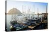 The Beautiful Scenes of Morro Bay, California-Daniel Kuras-Stretched Canvas