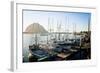 The Beautiful Scenes of Morro Bay, California-Daniel Kuras-Framed Photographic Print