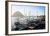 The Beautiful Scenes of Morro Bay, California-Daniel Kuras-Framed Photographic Print