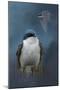 The Beautiful Tree Swallow-Jai Johnson-Mounted Giclee Print