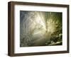 The Beautiful Unridden Waves of California's Beaches-Daniel Kuras-Framed Photographic Print