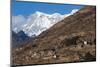 The Beautiful Village of Laya in the Himalayas, Bhutan, Asia-Alex Treadway-Mounted Photographic Print