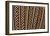 The Beautiful Wing Feathers of Argus Phesant-Darrell Gulin-Framed Photographic Print