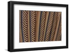 The Beautiful Wing Feathers of Argus Phesant-Darrell Gulin-Framed Photographic Print