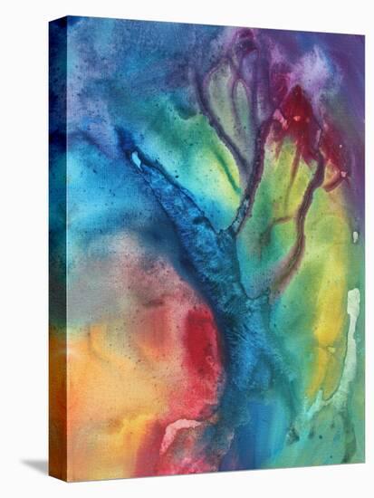 The Beauty Of Color 3-Megan Aroon Duncanson-Stretched Canvas