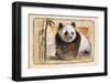 the Beauty-Joadoor-Framed Art Print