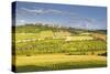 The Beaux Village De France of Vezelay in the Yonne Area, Burgundy, France, Europe-Julian Elliott-Stretched Canvas