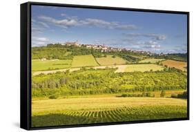 The Beaux Village De France of Vezelay in the Yonne Area, Burgundy, France, Europe-Julian Elliott-Framed Stretched Canvas