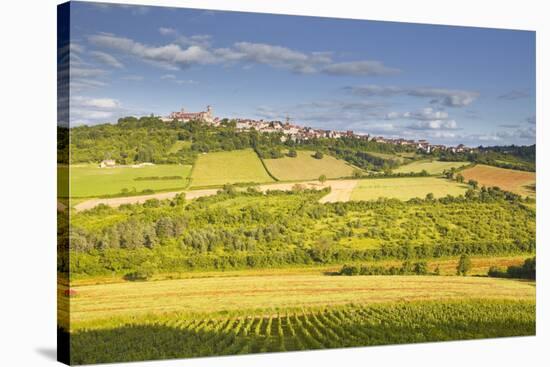 The Beaux Village De France of Vezelay in the Yonne Area, Burgundy, France, Europe-Julian Elliott-Stretched Canvas