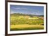 The Beaux Village De France of Vezelay in the Yonne Area, Burgundy, France, Europe-Julian Elliott-Framed Photographic Print